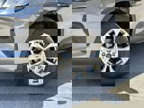 New 2025 Ford Escape Active w/ Cold Weather Package image 5