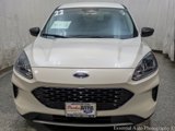 Used 2022 Ford Escape SE image 5