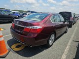 Used 2014 Honda Accord EX-L image 4