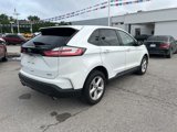 Used 2019 Ford Edge SE image 4