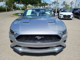 Used 2023 Ford Mustang Premium image 3