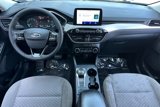 Used 2022 Ford Escape SE w/ Convenience Package image 3
