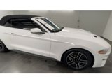 Used 2021 Ford Mustang Premium image 2