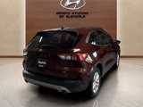 Used 2021 Ford Escape SE w/ Cold Weather Package image 5