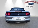 Certified 2022 Ford Mustang Premium image 4