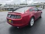 Used 2014 Ford Mustang Premium w/ Equipment Group 202A image 4