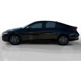 Certified 2024 Hyundai Elantra SEL image 2