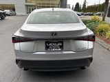 Certified 2023 Lexus IS 300 w/ Premium Package image 6