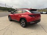 Used 2023 Hyundai Tucson SEL w/ Convenience Package image 3