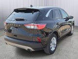Used 2022 Ford Escape SE image 6