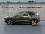 Used 2020 Ford Escape SEL image 5
