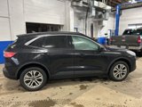 Used 2022 Ford Escape SEL image 4