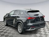 Used 2020 Lexus NX 300h AWD w/ Comfort Package image 4