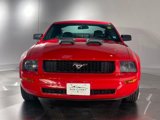 Used 2005 Ford Mustang Coupe image 3