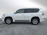 Used 2017 Lexus GX 460 Premium image 2