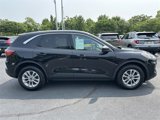 Certified 2022 Ford Escape SE w/ Convenience Package image 4