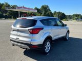 Used 2019 Ford Escape SE image 5