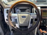 Used 2009 Ford F150 Platinum image 4