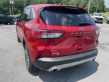 Used 2020 Ford Escape SEL image 5