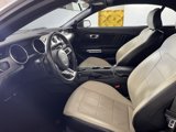 Used 2022 Ford Mustang Premium image 3