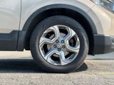 Used 2019 Honda CR-V EX-L image 4