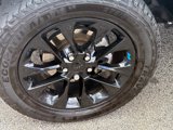 Used 2022 Jeep Wrangler Unlimited Sahara w/ Cold Weather Group image 6