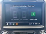 Used 2019 Chevrolet Silverado 1500 LT w/ All-Star Edition image 5
