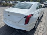 Certified 2023 Cadillac CT4 Premium Luxury w/ Climate Package image 4