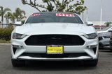 Used 2019 Ford Mustang Premium w/ Equipment Group 201A image 6