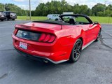 Certified 2022 Ford Mustang Premium image 4