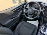 Used 2019 Subaru Forester image 6