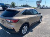 Used 2020 Ford Escape SE image 6