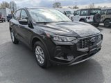 Used 2025 Ford Escape Active w/ Tech Pack #1 image 3