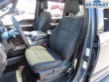 Used 2016 Ford F150 XLT w/ Equipment Group 302A Luxury image 3