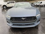 New 2025 Ford Mustang Coupe image 6