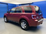 Used 2011 Ford Escape Limited w/ 302A Rapid Spec Order Code image 5