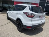Used 2017 Ford Escape SE w/ Equipment Group 201A image 4