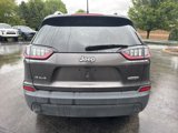 Used 2019 Jeep Cherokee Latitude Plus w/ Cold Weather Group image 4