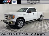 Used 2013 Ford F150 XLT w/ Luxury Equipment Group image 1