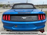 Used 2019 Ford Mustang Premium image 4