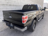 Used 2014 Ford F150 Lariat w/ Equipment Group 501A Mid image 4