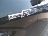 Used 2013 Ford F150 XLT w/ Luxury Equipment Group image 2