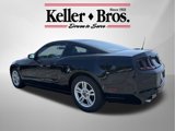 Used 2014 Ford Mustang Coupe w/ Equipment Group 102A image 5