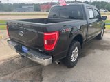Used 2022 Ford F150 XLT w/ Equipment Group 302A High image 2