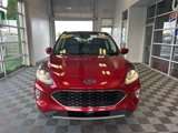 Used 2022 Ford Escape SEL image 2