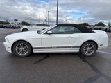 Used 2014 Ford Mustang Premium w/ Equipment Group 201A image 5