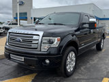 Used 2013 Ford F150 Platinum image 3