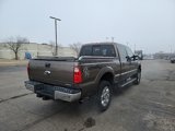 Used 2015 Ford F250 Lariat w/ Lariat Ultimate Package image 3