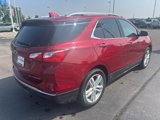 Used 2021 Chevrolet Equinox Premier image 5