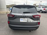 New 2025 Ford Escape ST-Line w/ Tech Pack #1 image 4